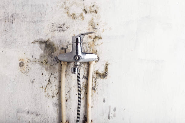 Mold Removal Process in Richlands, VA