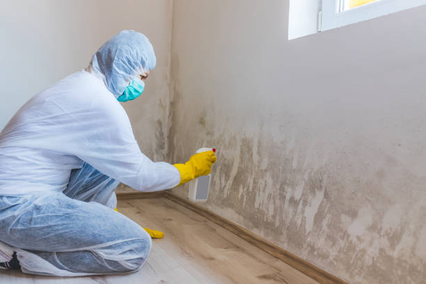 Best Residential Mold Removal  in Richlands, VA
