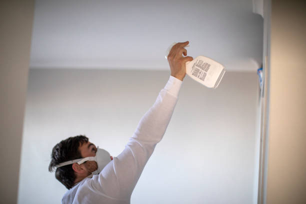 Best Home Mold Removal  in Richlands, VA