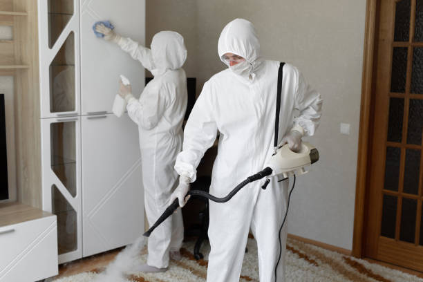 Best Mold Remediation Experts  in Richlands, VA