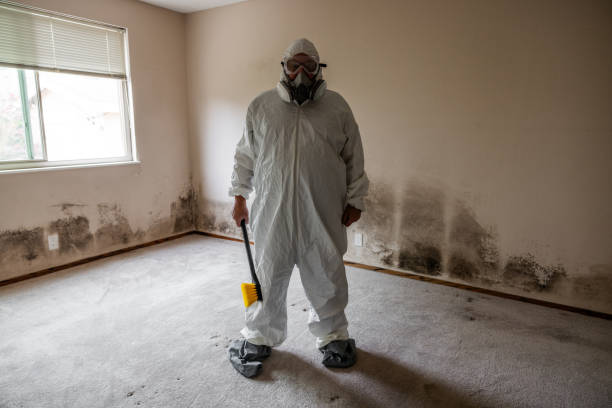 Best Mold Removal Company Near Me  in Richlands, VA
